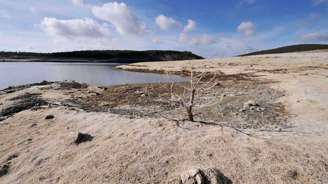‘Altın madenin yarattığı tahribatın üzerine bir de iklim krizi Uşak’ta final yaptı’