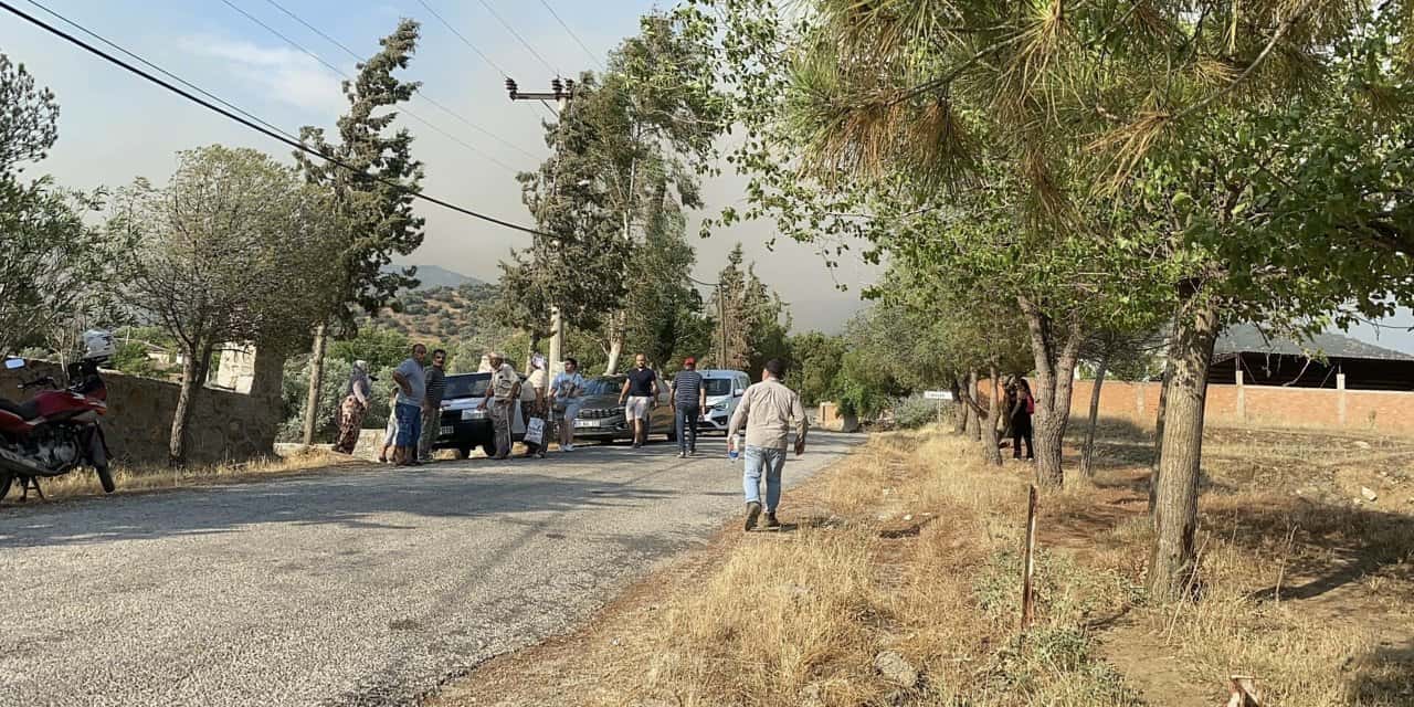 Aydın'da orman yangını: Bir mahalle boşaltıldı