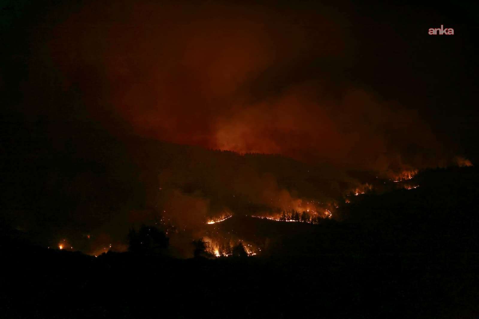 Denizli’de 3 gün önce başlayan orman yangını Aydın’a sıçradı
