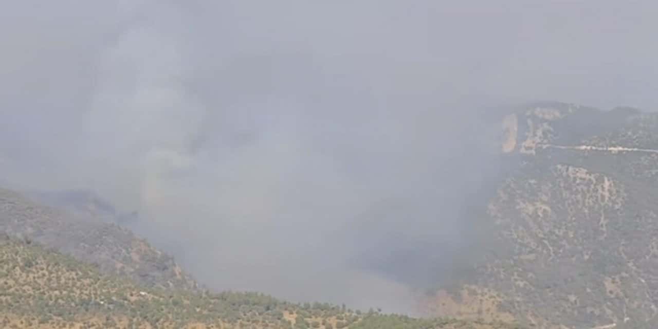Denizli'deki orman yangını Aydın'a sıçradı