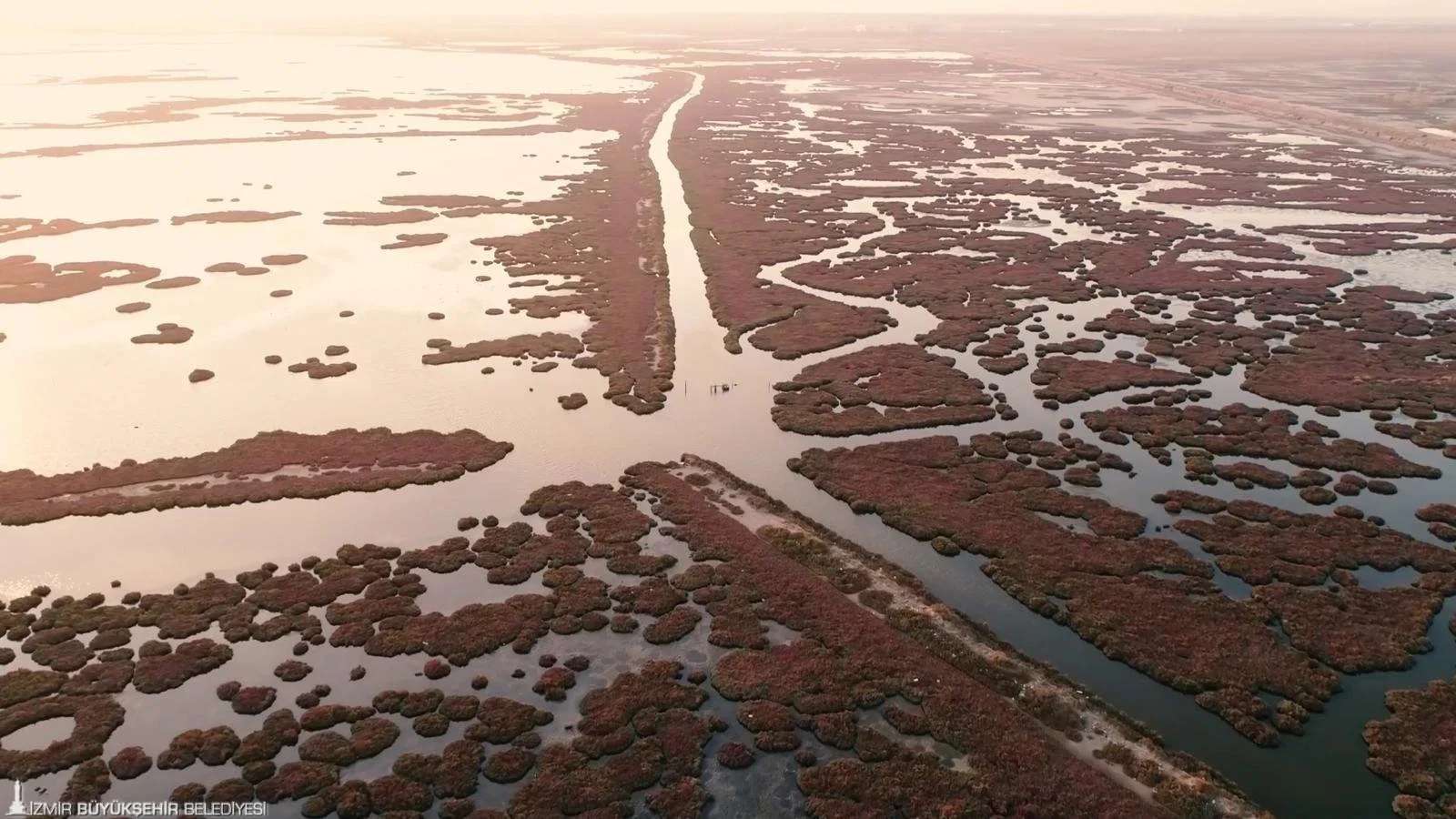 Gediz Havzası’nda kirlilik artıyor: Su kaynakları ve tarım alanları için büyük risk