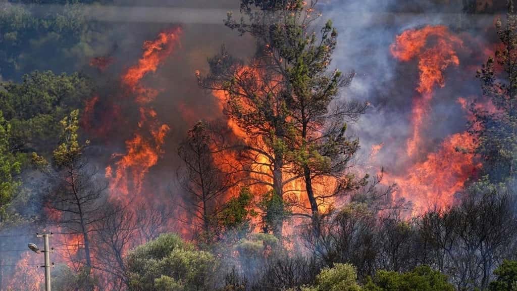 İzmir Aliağa'daki Yangın Karayoluna Sıçradı!