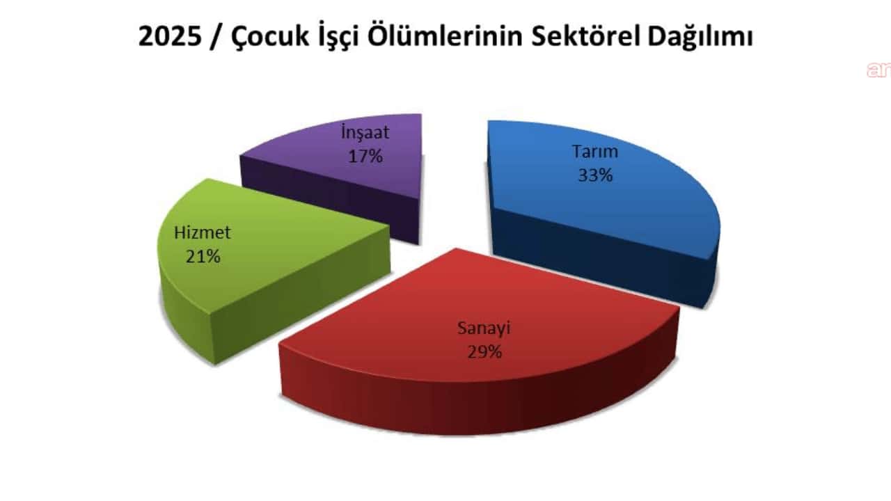 İSİG Meclisi 2025 Raporu: Çocuk İşçiliği "Can" Almaya Devam Ediyor