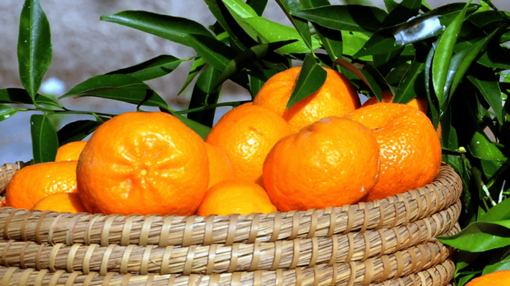 Mandalina Tatlısı Tarifi