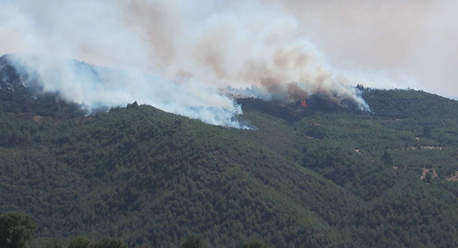 Muğla'nın Ula ve Yatağan ilçelerinde orman yangını çıktı