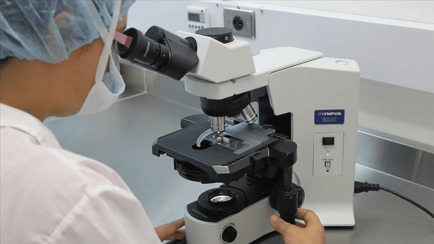 Araştırma: Her yıl 250 gram plastik yiyoruz