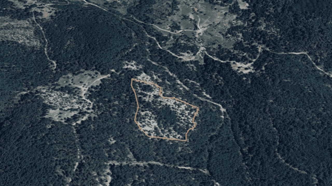 Muğla'daki ormanlık alana maden ocağı projesine "ÇED olumlu" kararı