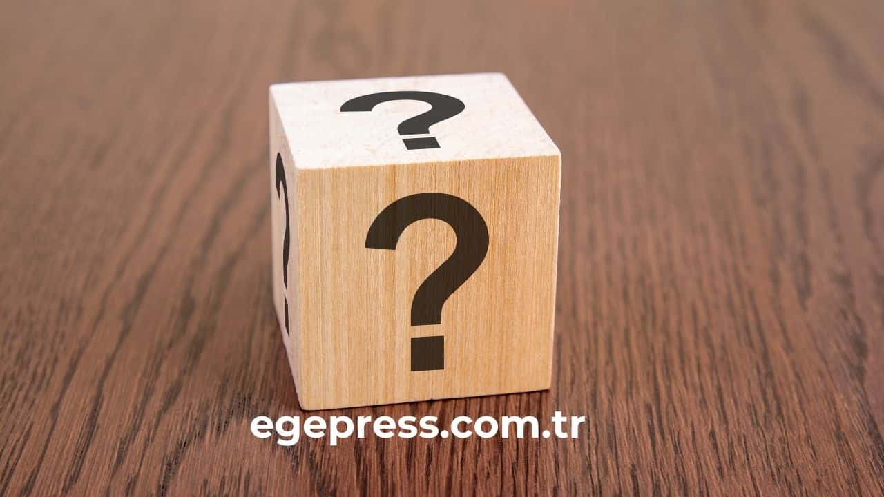 IQ ve EQ Nedir? Hangisi Daha Önemli?