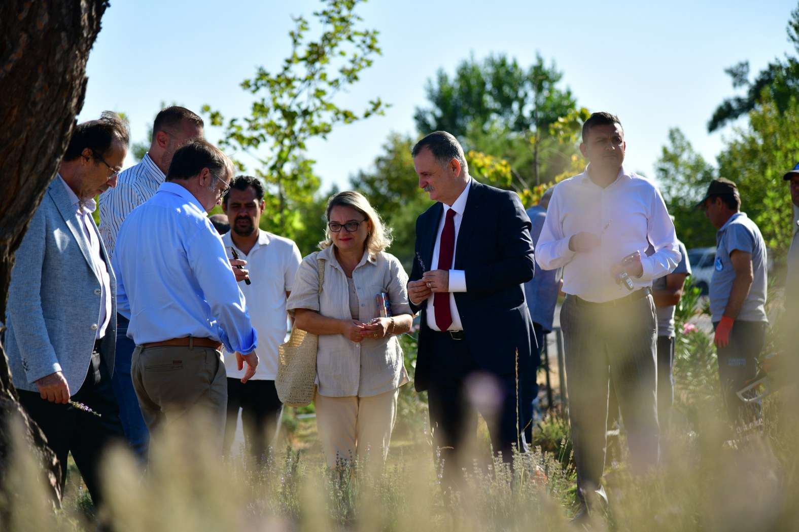 Yunusemre’de lavanta hasadı heyecanı