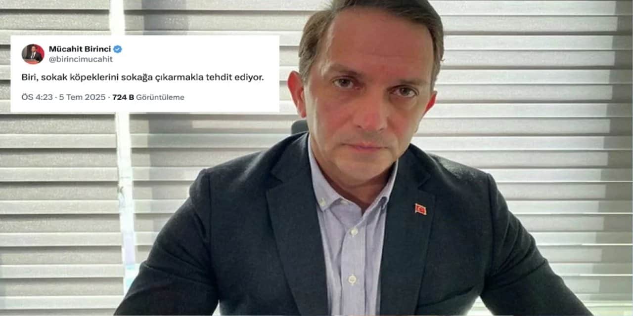 AKP'li Mücahit Birinci'den tepki çeken "sokak köpekleri" paylaşımı