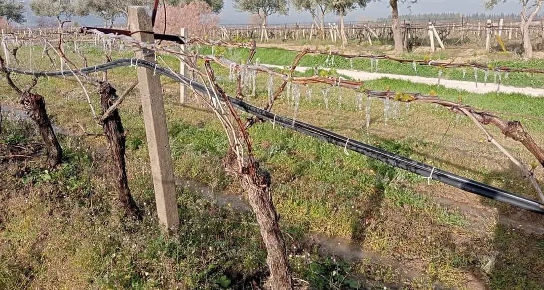 Aşırı Hava Olayları 2025'te Gıda Fiyatlarında Dalgalanmaya Neden Olabilir