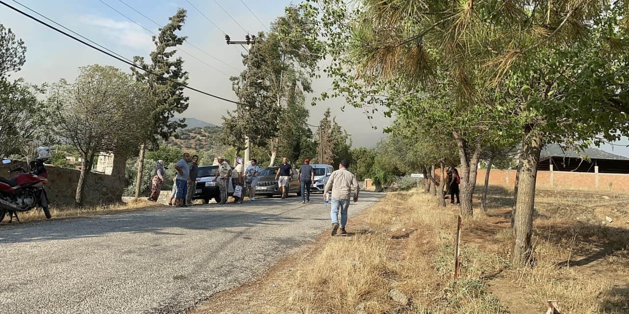 Aydın'da orman yangını: Bir mahalle boşaltıldı
