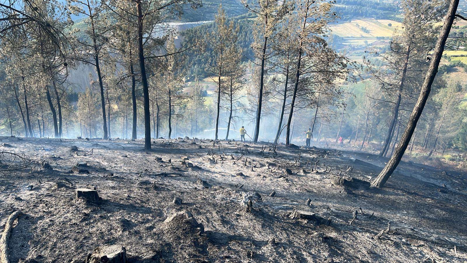Balıkesir’de çıkan orman yangınına müdahale ediliyor