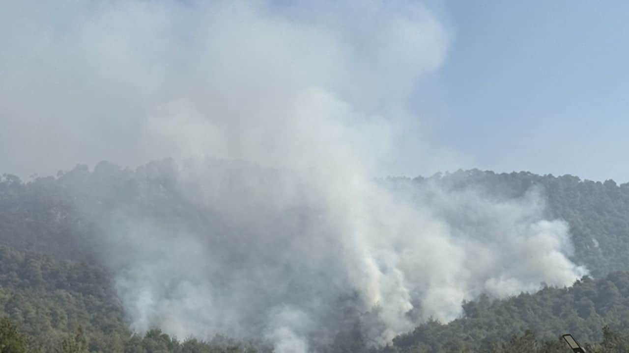 Uşak'ta yangın çıktı