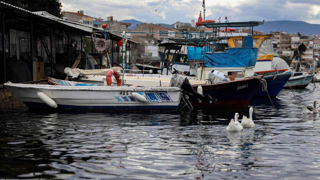 Bursa'da balıkçılara yüzde 100 hibeli mazot desteği: Balık sizden, mazot bizden