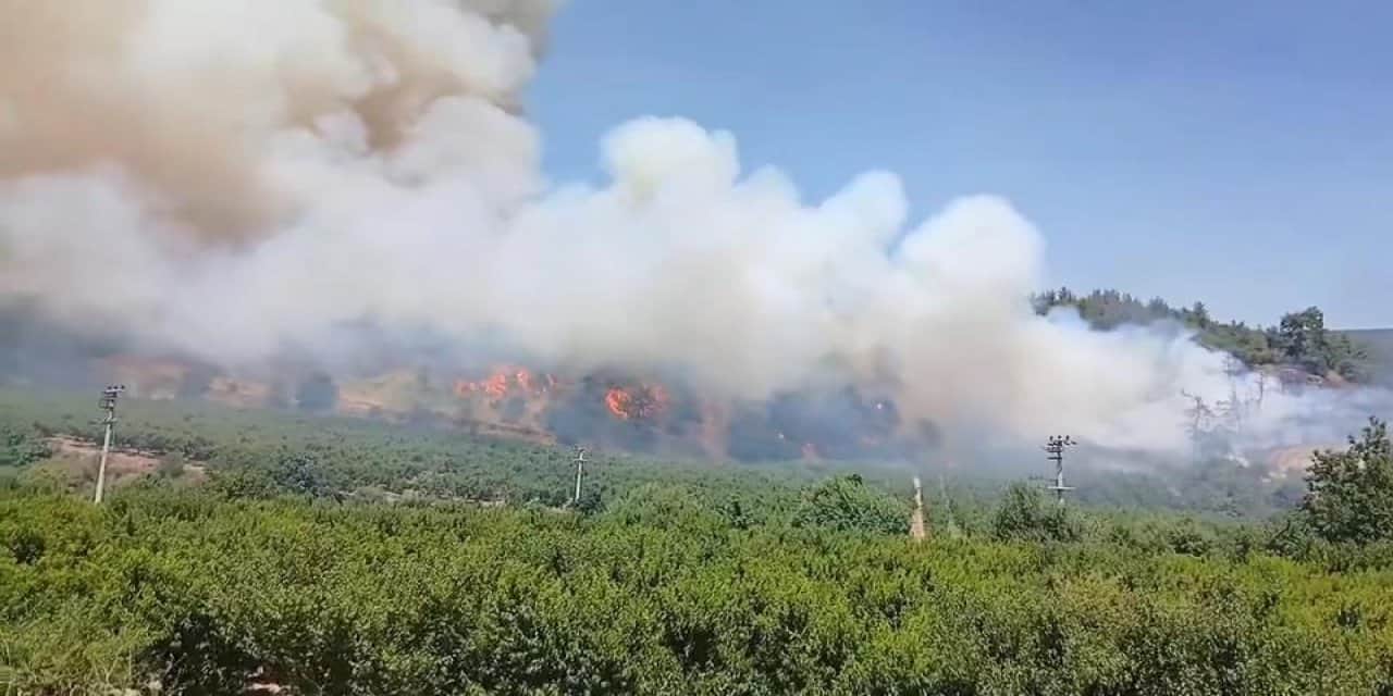 Bursa'daki yangının başlangıç noktasında benzin kokusu vardı