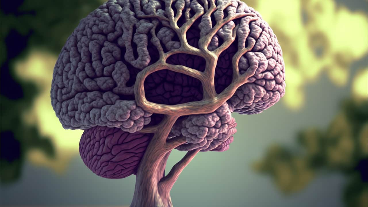 Cambridge'de yapılan araştırmaya göre beynin 'ergenlik' dönemi 32 yaşında bitiyor