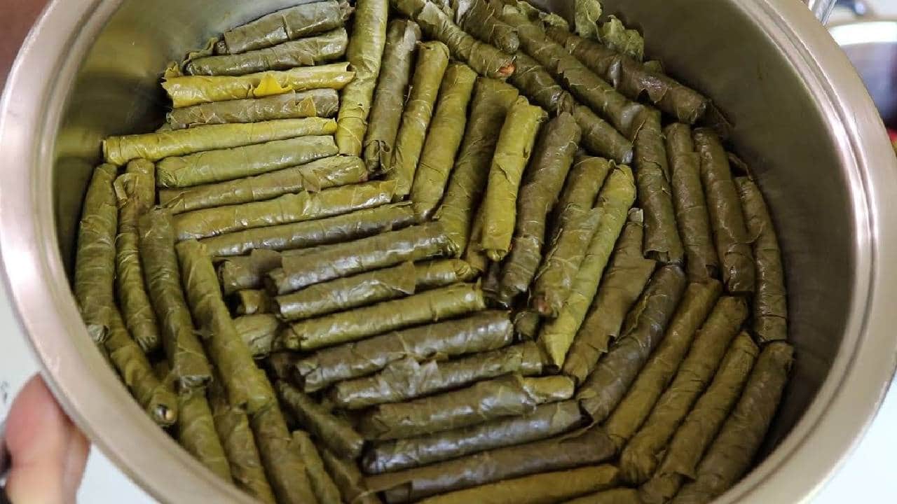 Zeytinyağlı Yaprak Sarmasının Sırrı Ortaya Çıktı