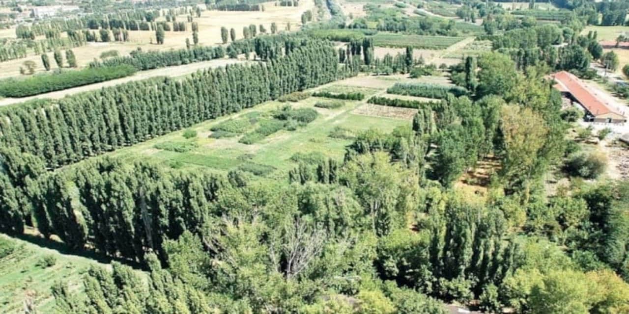 Daire parasına 33 bin metrekare arazi