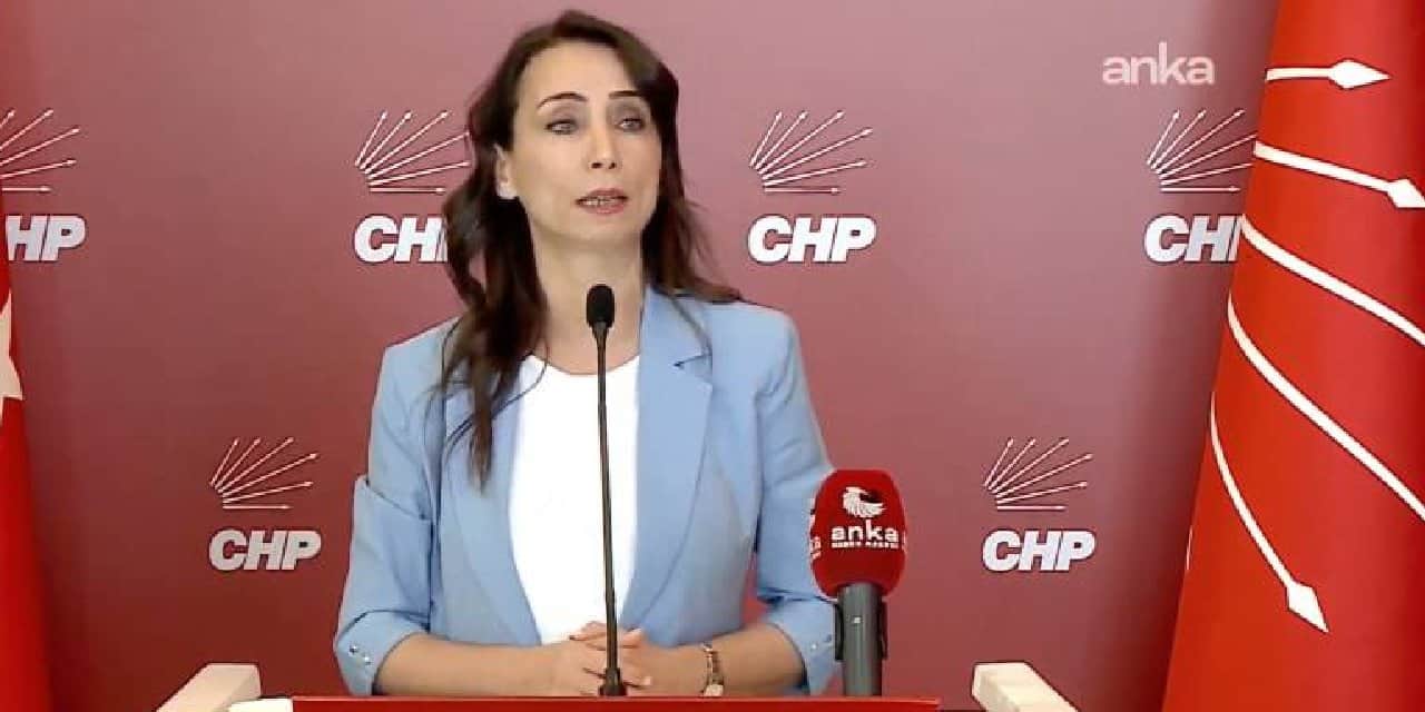 DEM Parti'den CHP'ye ziyaret: 'Operasyonlar kayyım anlayışının devamı'