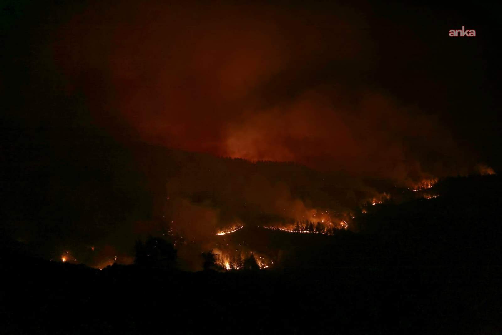 Denizli’de 3 gün önce başlayan orman yangını Aydın’a sıçradı