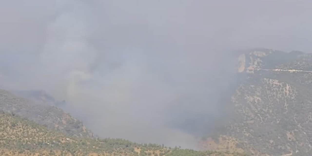 Denizli'deki orman yangını Aydın'a sıçradı