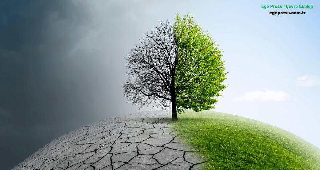 Balıkesirlilerden Ankara'ya "Toprağımızı Vermiyoruz" Çağrısı: Talan Yasasına Karşı Meclis Önünde Buluşma!