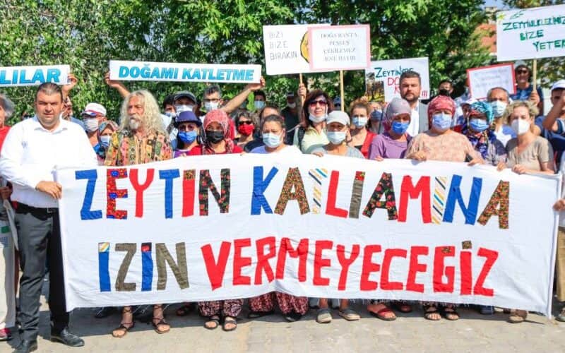 Ekoloji Örgütlerinden Meclise: “Zeytinlerin Tek bir Dalına Bile Dokundurtmayız!”