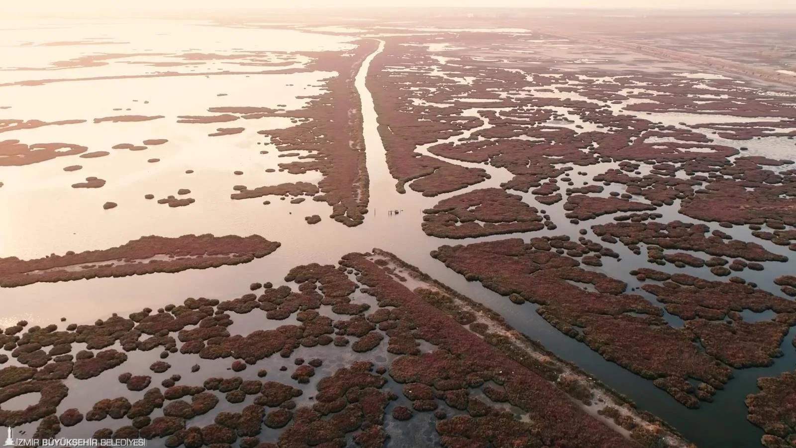 Gediz Havzası’nda kirlilik artıyor: Su kaynakları ve tarım alanları için büyük risk
