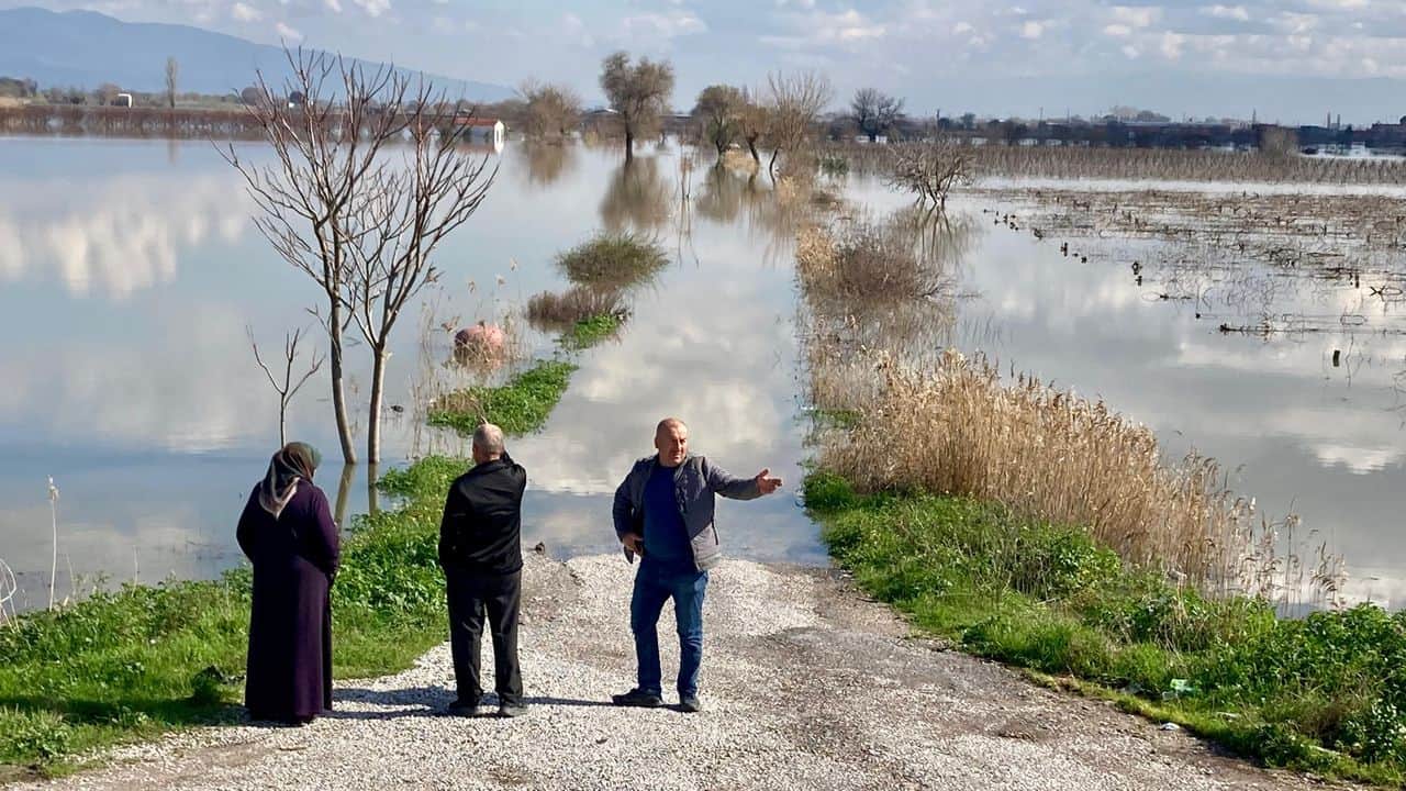Gediz taştı: Hayvanlar damlarda beslenmekten mahrum kaldı