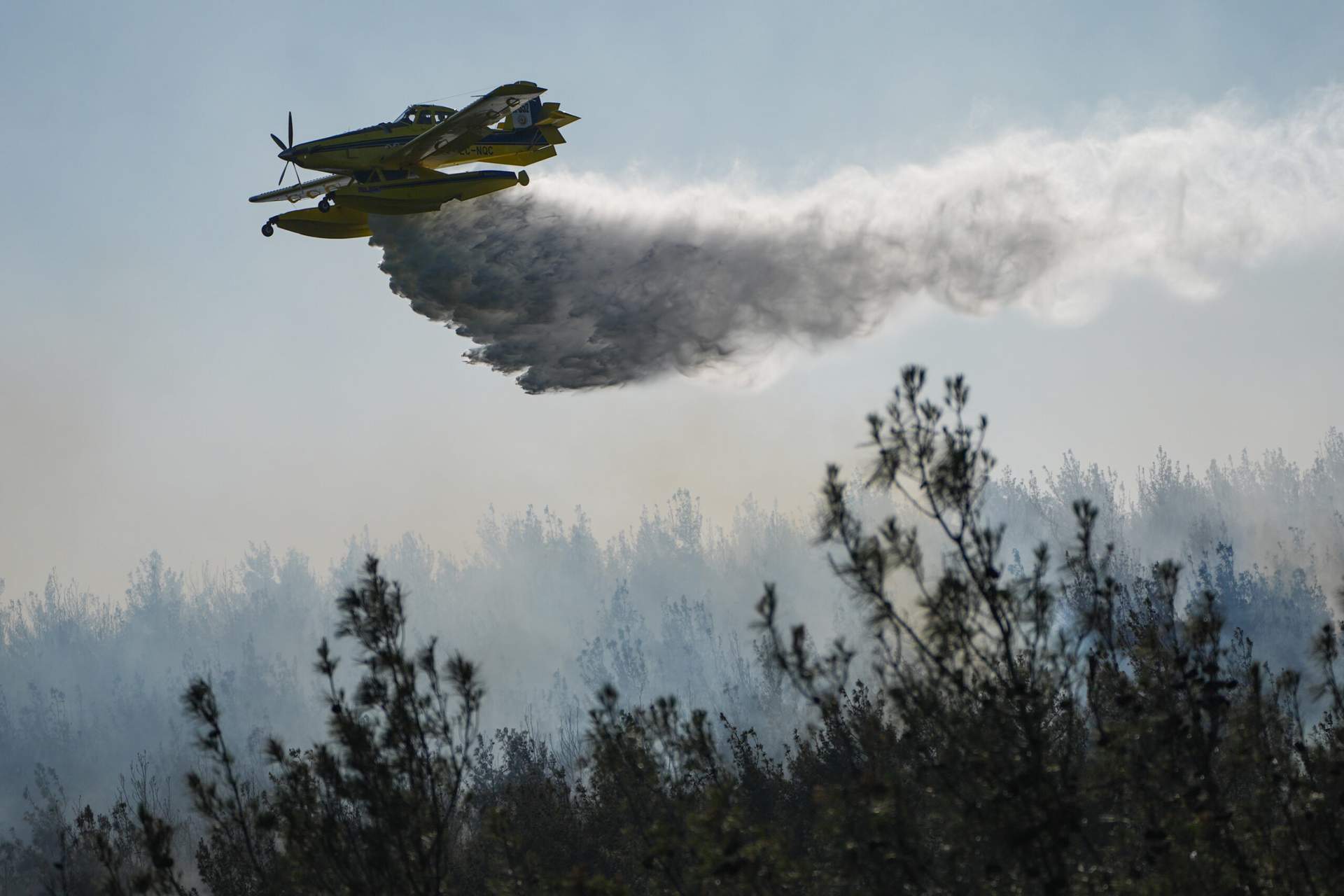 İzmir Aliağa’da çıkan yangın Foça’ya sıçradı 20 ev tahliye edildi