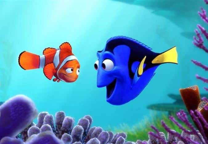 Kayıp Balık Nemo filmiyle ünlenen palyaço balıklar neden zayıflıyor? « İlke TV