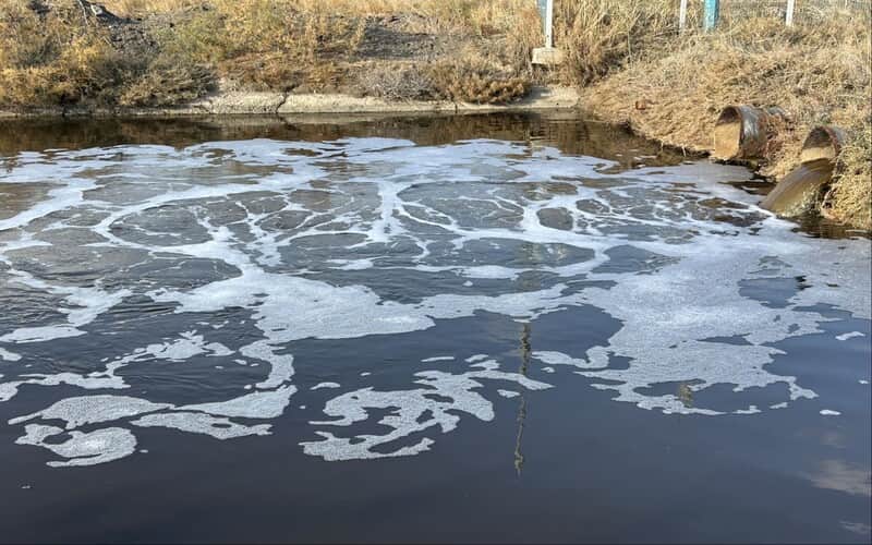 Körfez kirliliğinin temel nedeni Gediz Nehri mi?