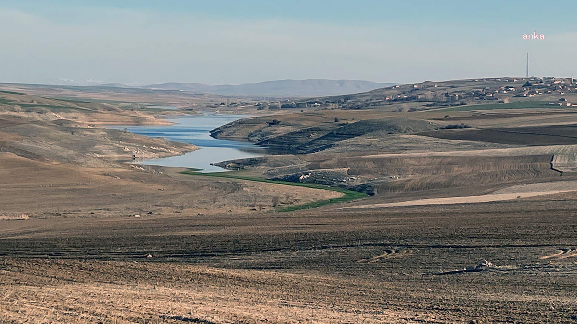 Kuraklığa dayanıklı bitkileri tercih edin