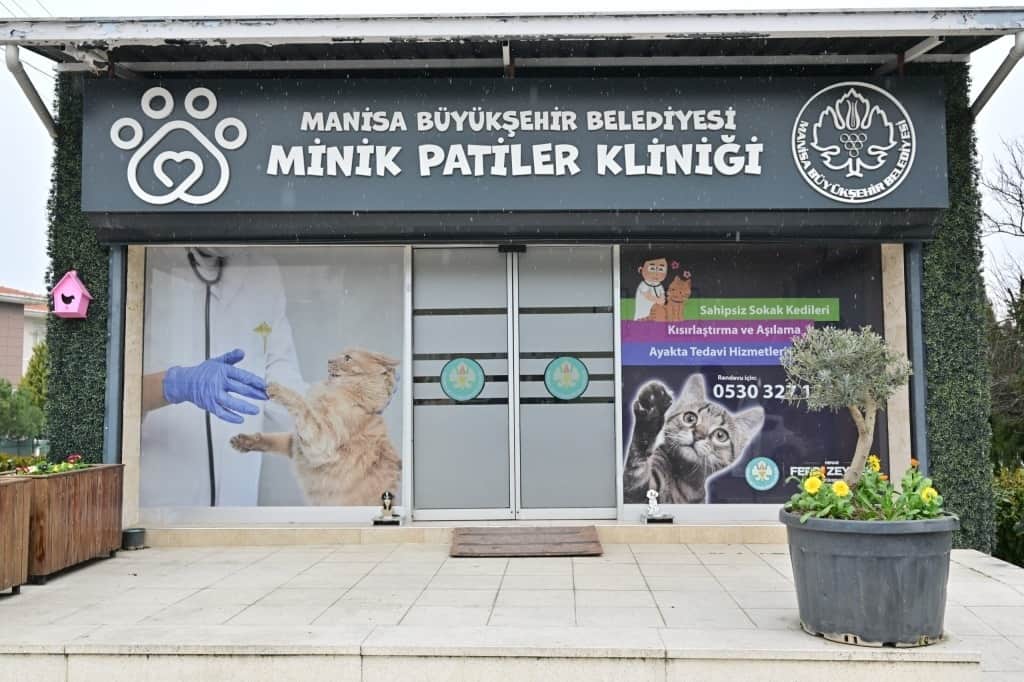 Manisa'da Minik Patiler Kliniği 3 Bin 250 Kısırlaştırma Yaptı