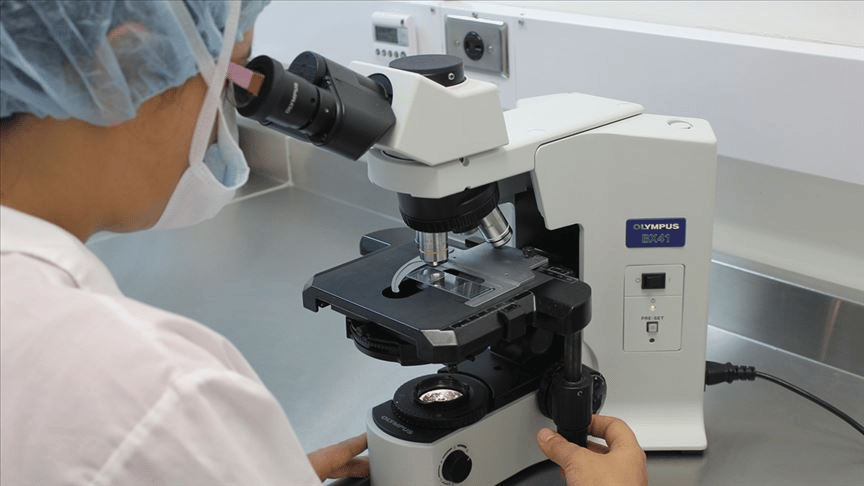 Araştırma: Her yıl 250 gram plastik yiyoruz