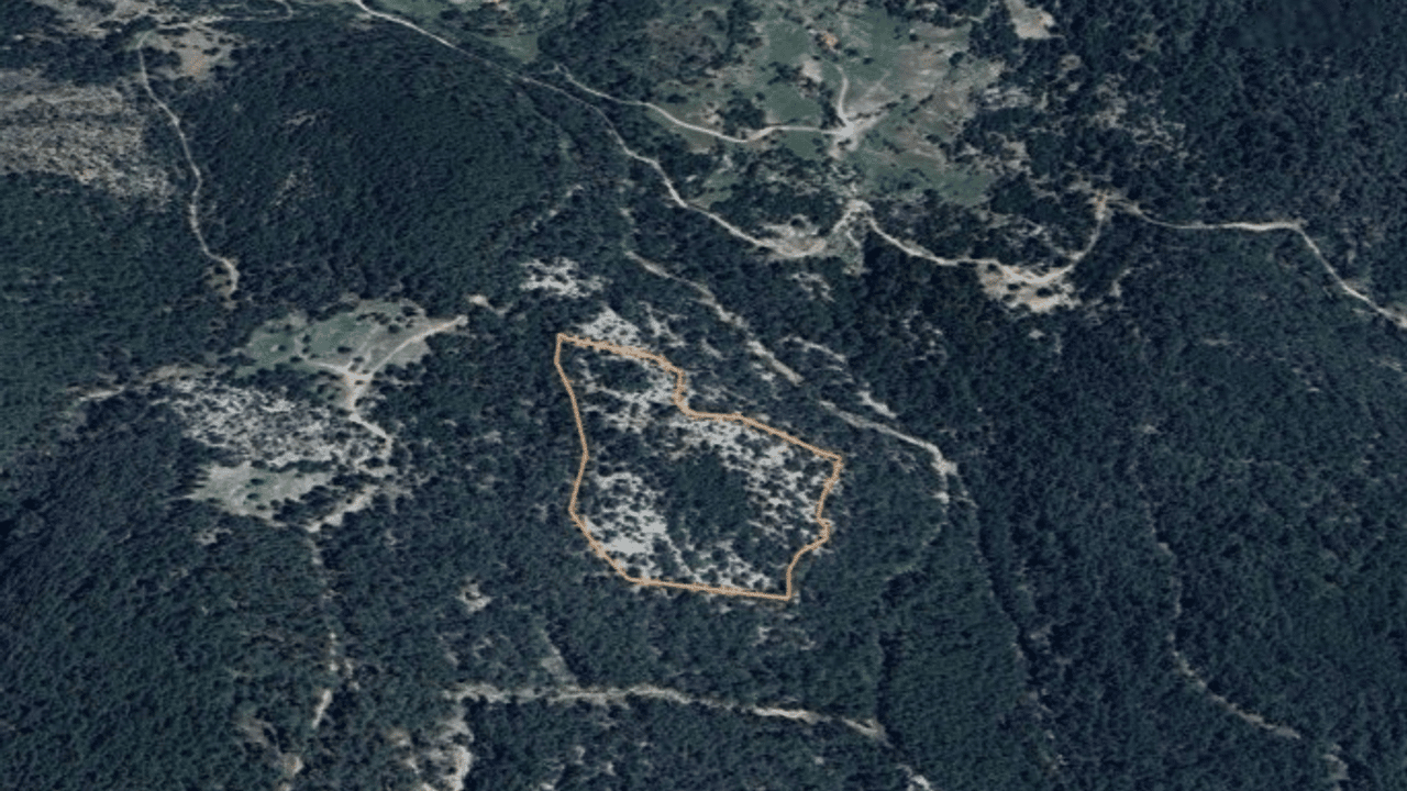 Muğla'daki ormanlık alana maden ocağı projesine "ÇED olumlu" kararı