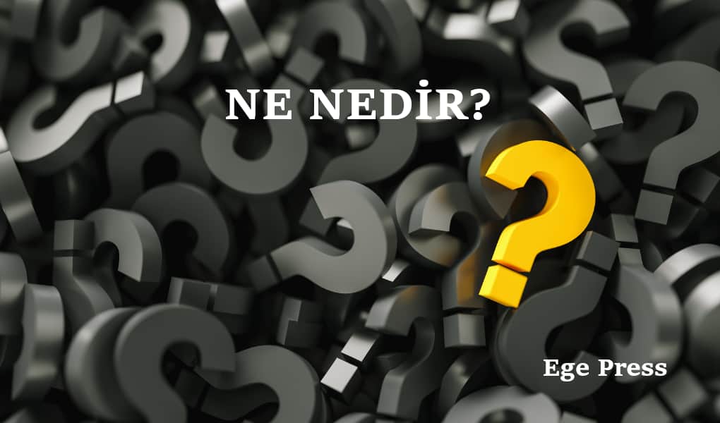 Rüyada Enişte Görmek Ne Demek?