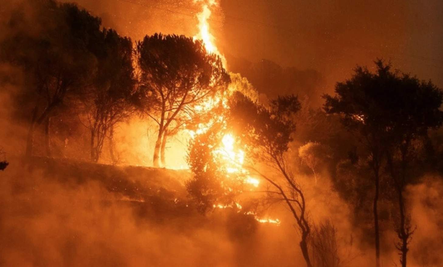 Orman Yangınları Giderek Daha Ölümcül ve Maliyetli Hale Geliyor