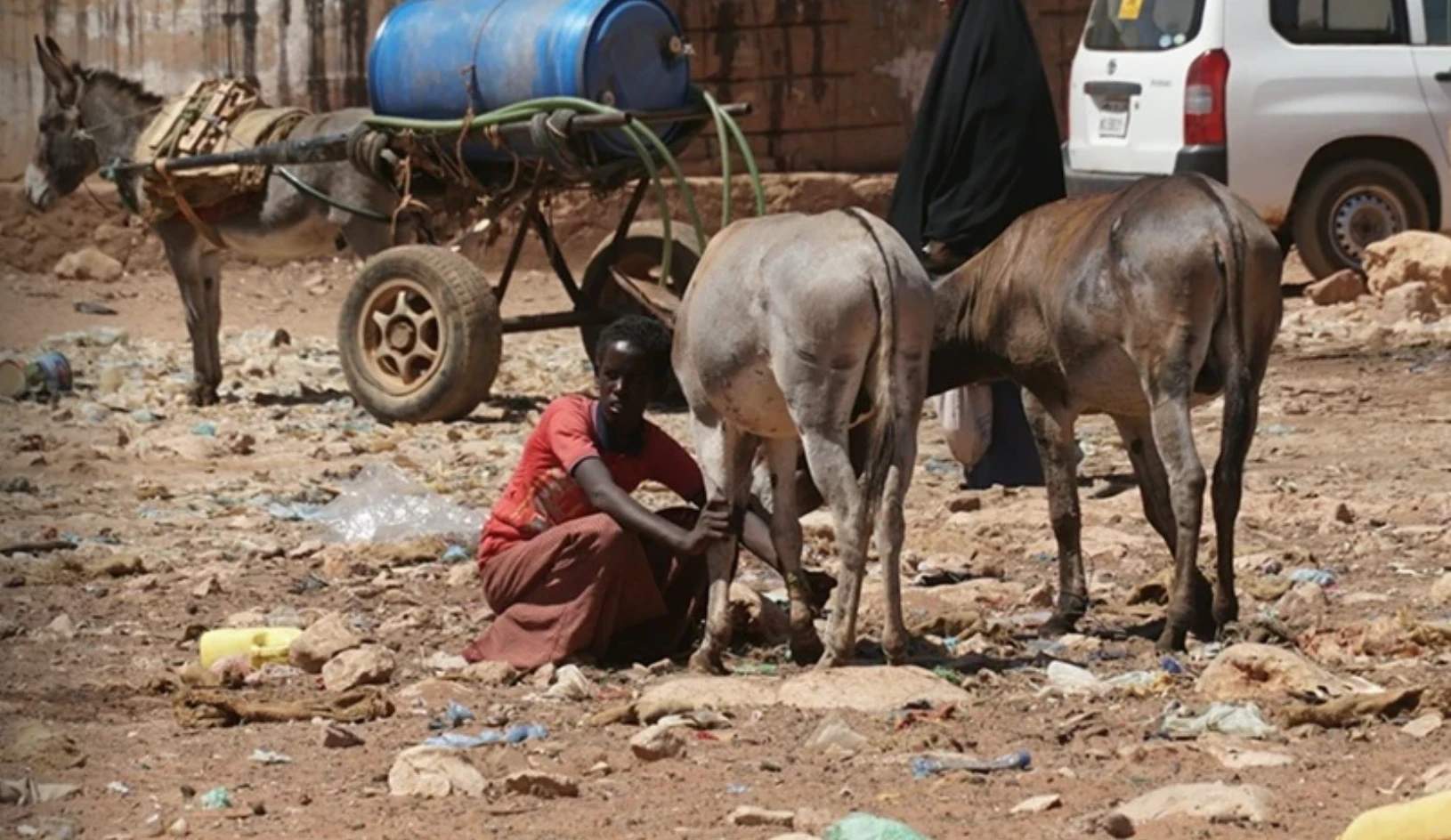 President of ECOSOC Lashes Out at Nations Trampling the Rule of Law