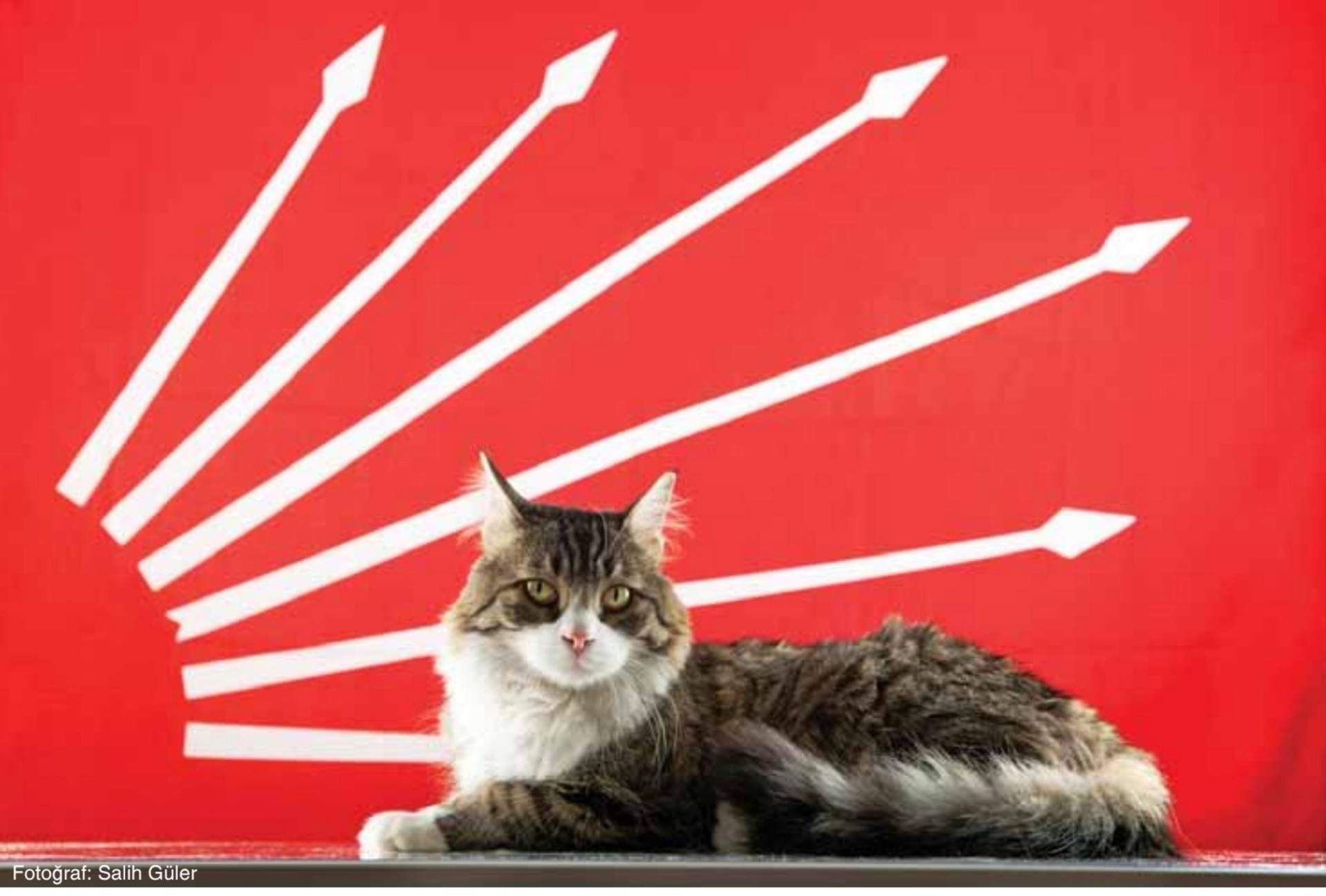 CHP'nin simgesi ŞERO hayatını kaybetti