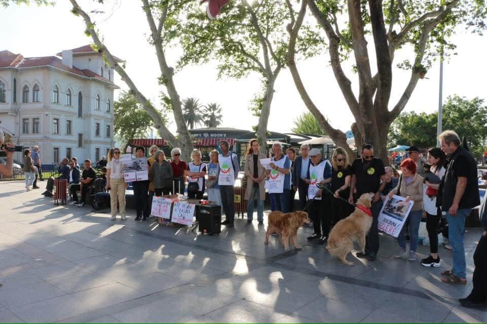 Bandırma’da Tüm Emekliler Sendikası ve hayvanseverlerden 'katliam yasasına tepki