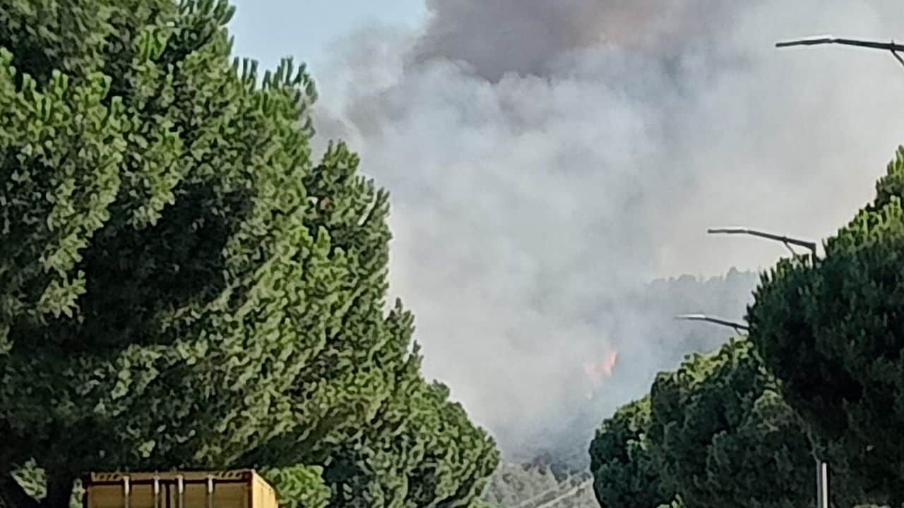 Manisa'daki orman yangınları sebebiyle sanayi bölgesinde üretim durdu