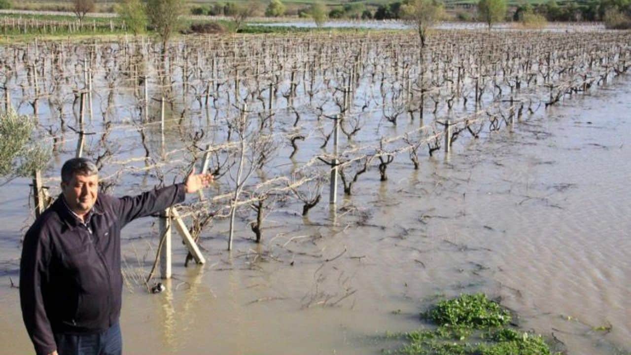 Ziraat Odası Başkanı Okur’dan “Gediz boşa akıyor” feryadı