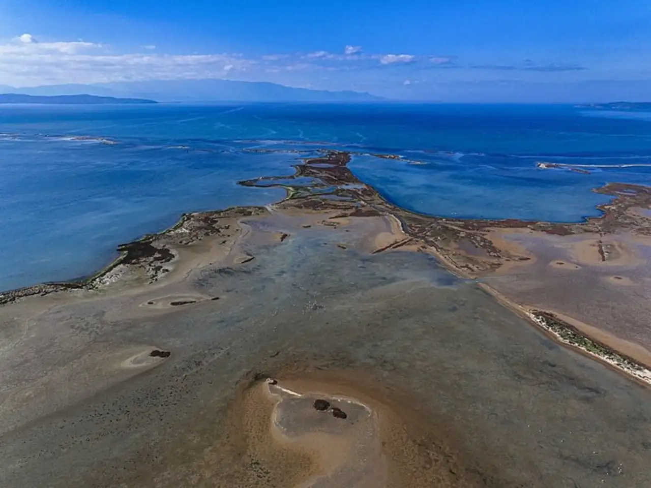 Gediz Deltası Kuraklık ve Kirlilik ile Boğuşuyor