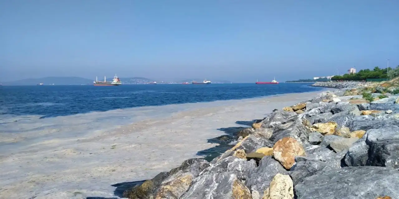 Müsilaj Bilim ve Teknik Kurulu, Marmara için toplanıyor