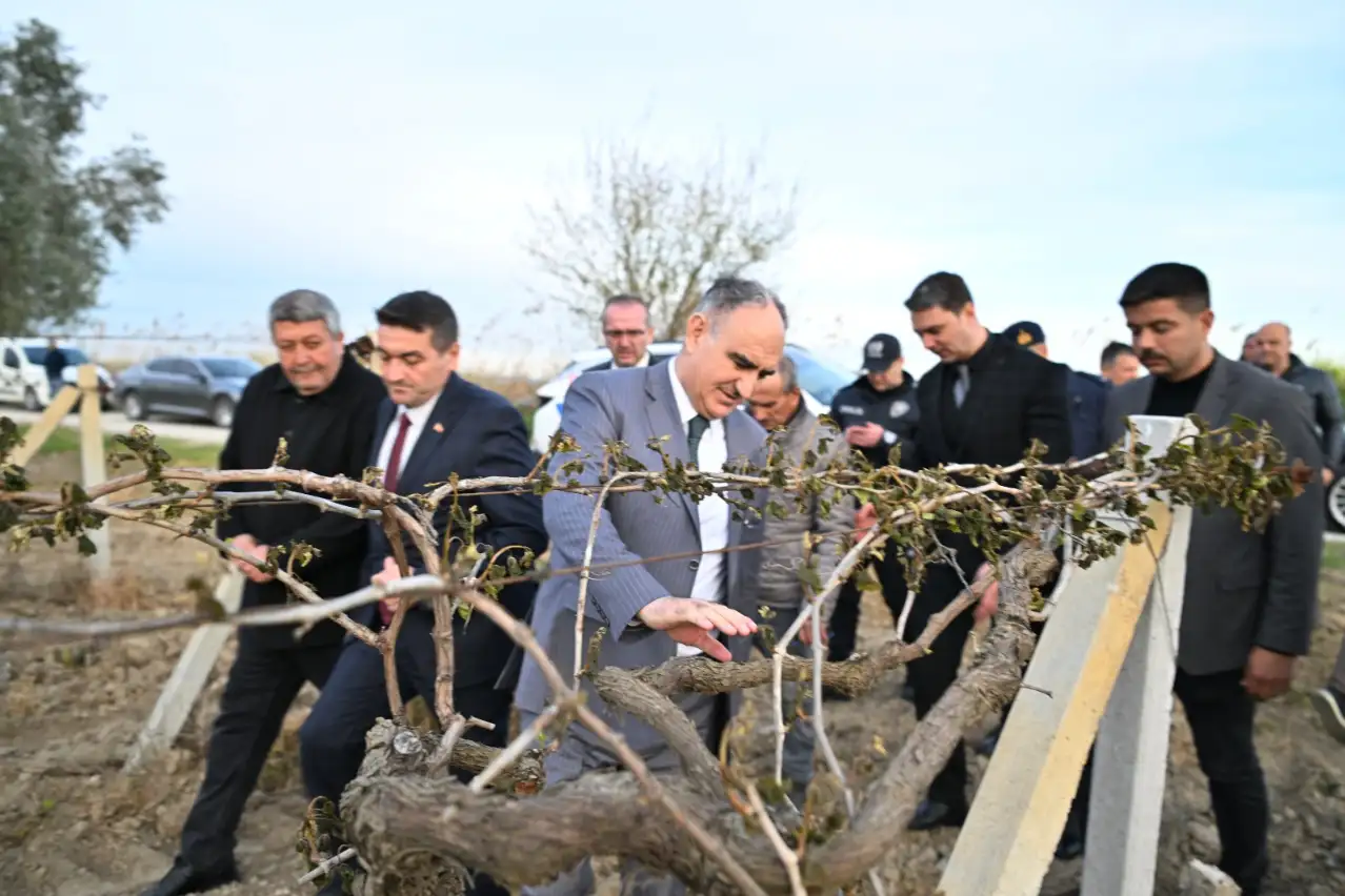 Manisa Valisi Özkan, doğal afetin yaşandığı bağlara girdi