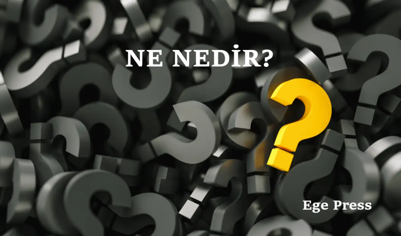 Rüya Nedir? Neden Rüya Görürüz? Rüyalar Gerçek Olur Mu?
