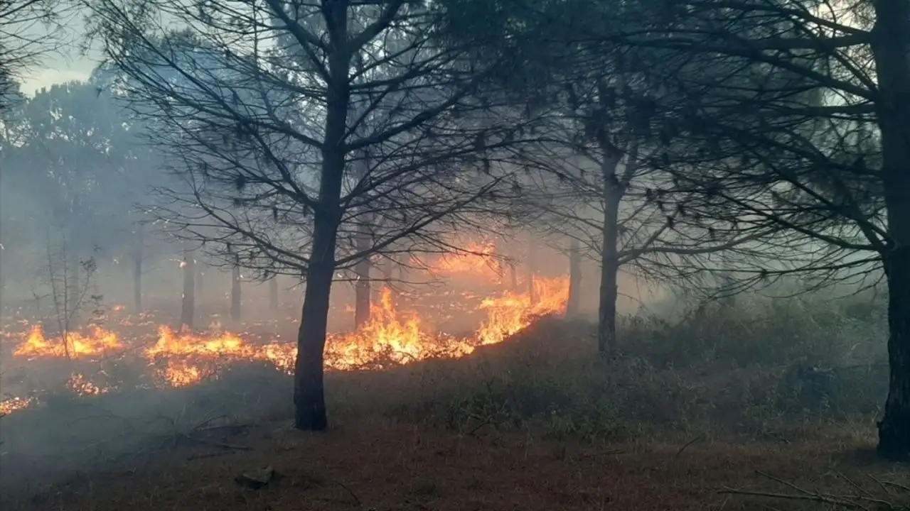 İzmir Urla'da orman yangını devam ediyor